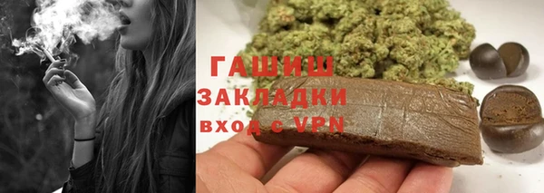 сатива Волоколамск