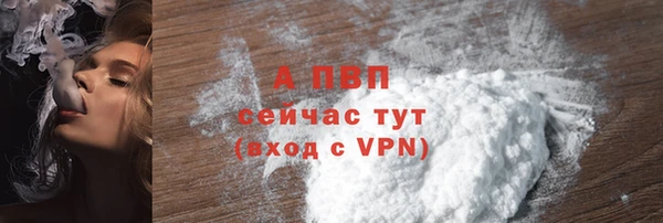 ECSTASY Бородино