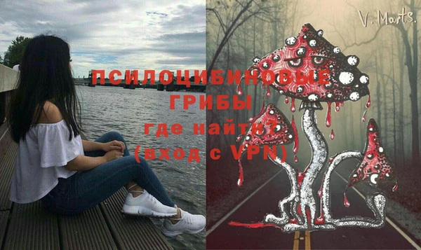 jwh Новый Уренгой