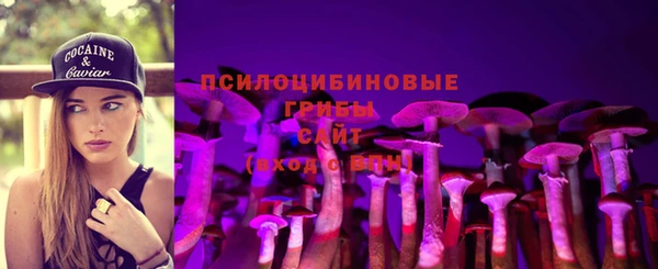 ECSTASY Бородино