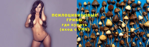 трава Бугульма