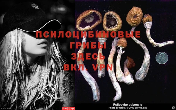 трава Бугульма