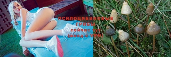ECSTASY Бородино