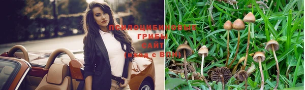 ECSTASY Бородино