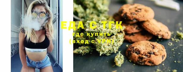 ECSTASY Бородино